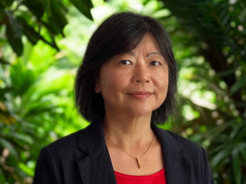 photo of Ying Zhang
