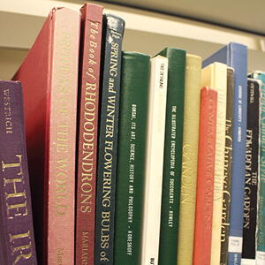 Close up image of books on a book shelf