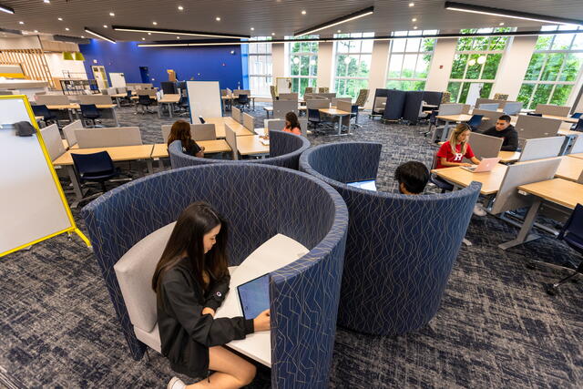 Students using the Digital Humanities Learning Commons to study in the Alexander library