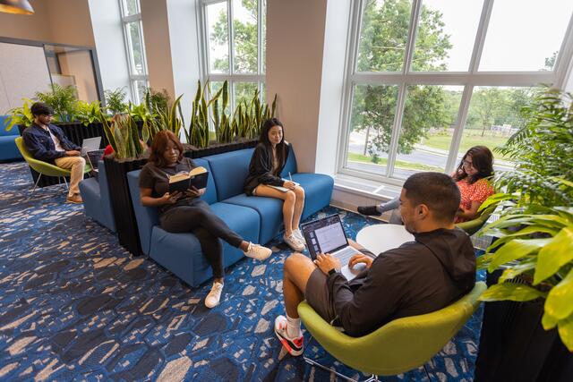 Students working in the Alexander library in the lounge areas