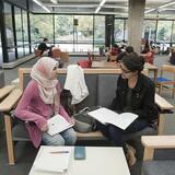 Students study on a bench in Dana Library